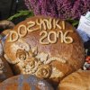 Dożynki 2016